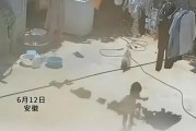 孩子光脚被地面烫到两轮变四驱 网友调侃：打败孩子的不是天真而是无鞋