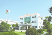 大地熊扭亏为盈但经营性净现金流由正转负