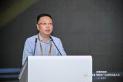 杨明珠:希望代建行业能提供全链条、模块化的灵活服务 杨明珠:希望代建行业能提供全链条、模块化的灵活服务