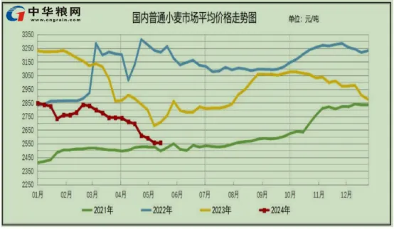 2024年新季小麦市场行情展望及操作策略