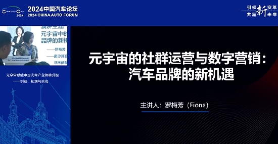 元宇宙专家罗梅芳:中国汽车品牌的现状就一句话,小荷才露尖尖角
