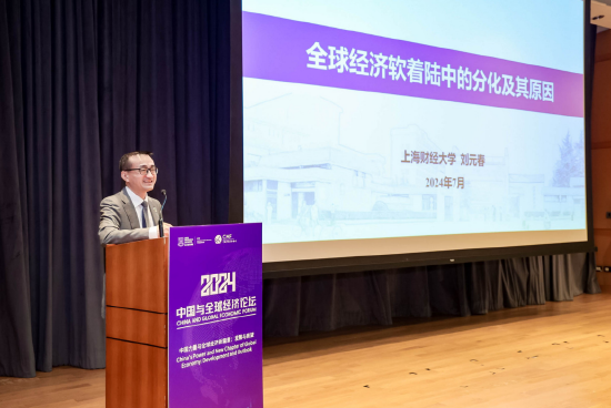 刘元春:AI元年之后,小国危机开始全面凸显