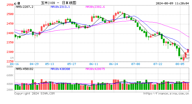 玉米全面下跌 今年种地可能要亏钱呀?
